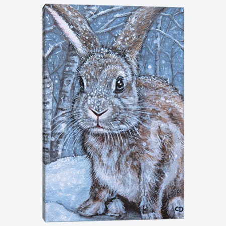 Winter Rabbit Canvas Print #CDO33} by Cyndi Dodes Canvas Artwork