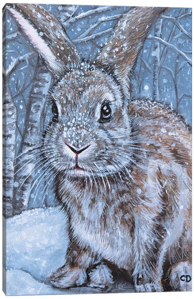 Winter Rabbit Canvas Art Print - Cyndi Dodes