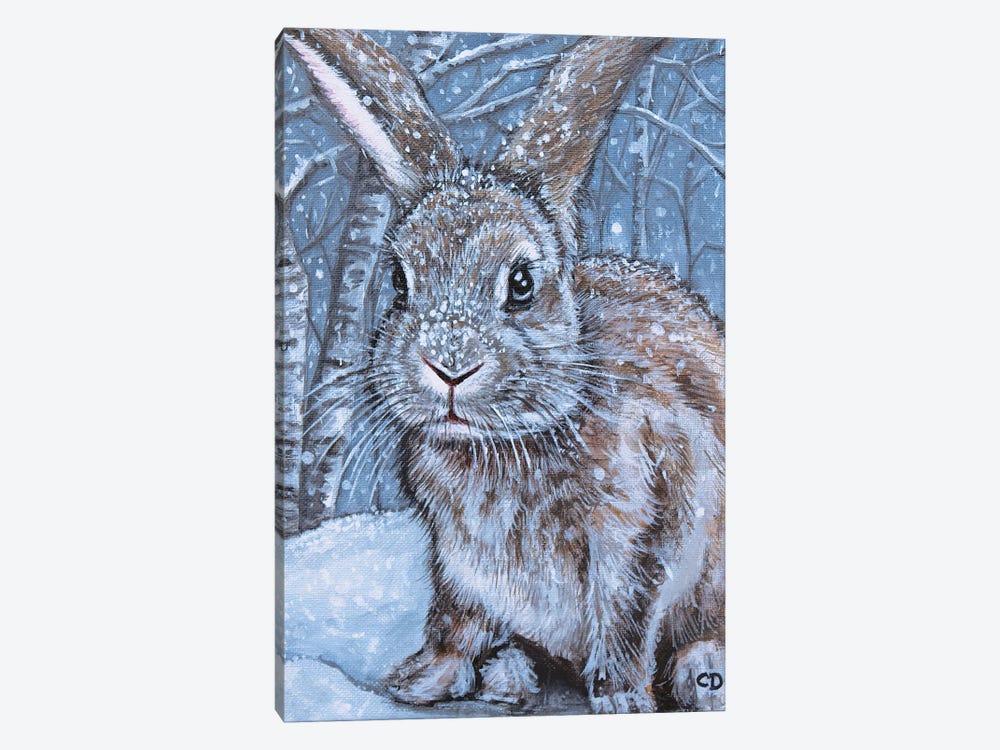 Winter Rabbit by Cyndi Dodes 1-piece Canvas Print