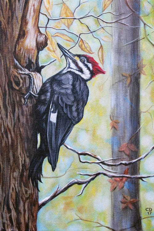 Woody by Cyndi Dodes wall art