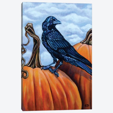 Crow With Pumpkins Canvas Print #CDO35} by Cyndi Dodes Canvas Art Print