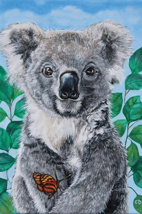 Koala by Cyndi Dodes wall art