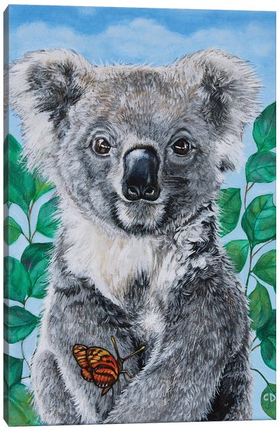 Koala Canvas Art Print - Cyndi Dodes