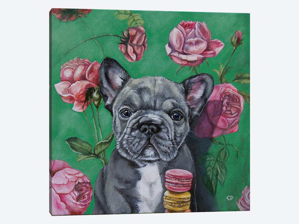 Frenchie Canvas Wall Art by Cyndi Dodes | iCanvas