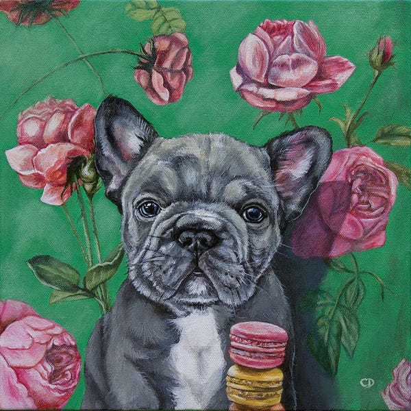 French Bulldogs: Frenchie by Cyndi Dodes