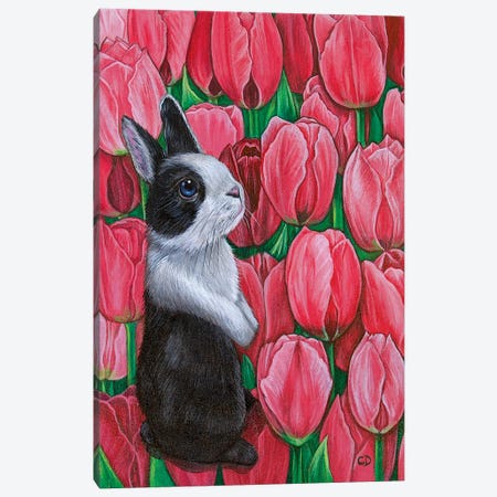 Bunny With Tulips Canvas Print #CDO42} by Cyndi Dodes Canvas Print