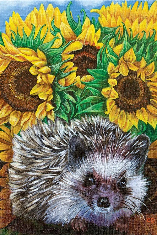 Hedgehog With Sundlowers