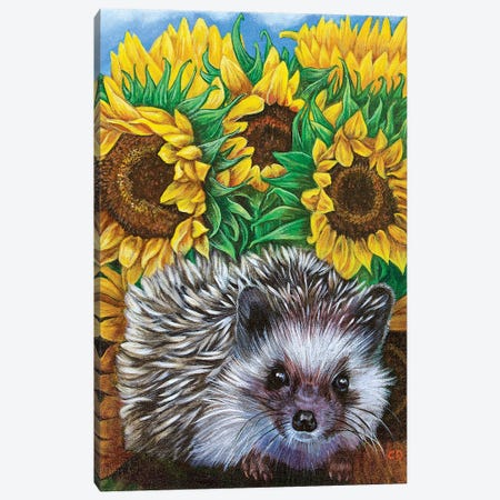 Hedgehog With Sundlowers Canvas Print #CDO43} by Cyndi Dodes Canvas Art Print