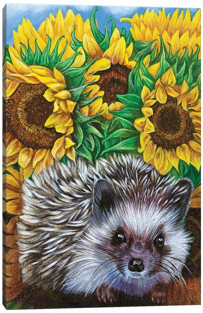 Hedgehog With Sundlowers Canvas Art Print - Hedgehogs