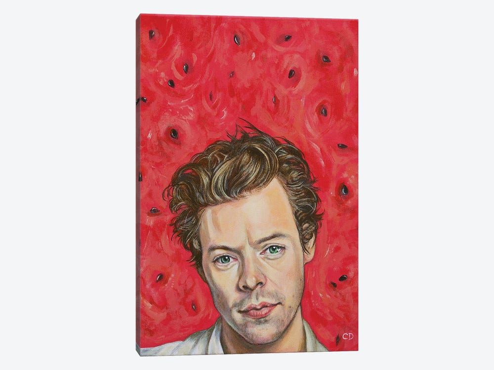 Harry Styles Portrait by Cyndi Dodes 1-piece Canvas Art