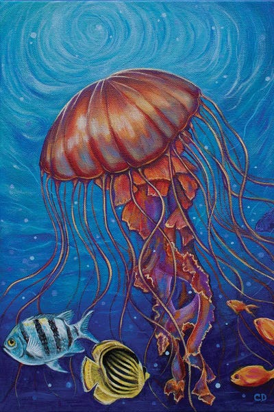Jellyfish by Cyndi Dodes canvas print
