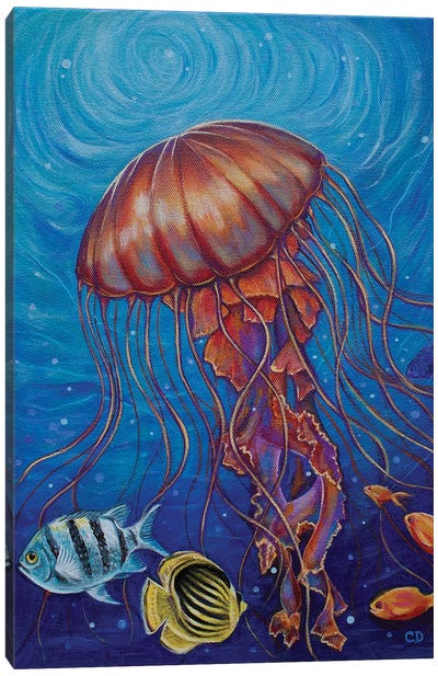 Jellyfish Canvas Art Print - Cyndi Dodes