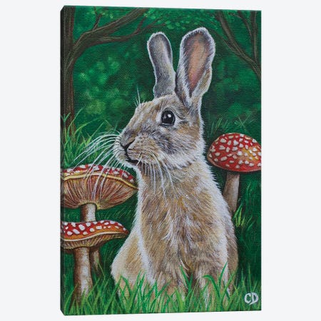 Bunny With Mushrooms Canvas Print #CDO50} by Cyndi Dodes Canvas Art