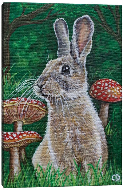 Bunny With Mushrooms Canvas Art Print - Cyndi Dodes