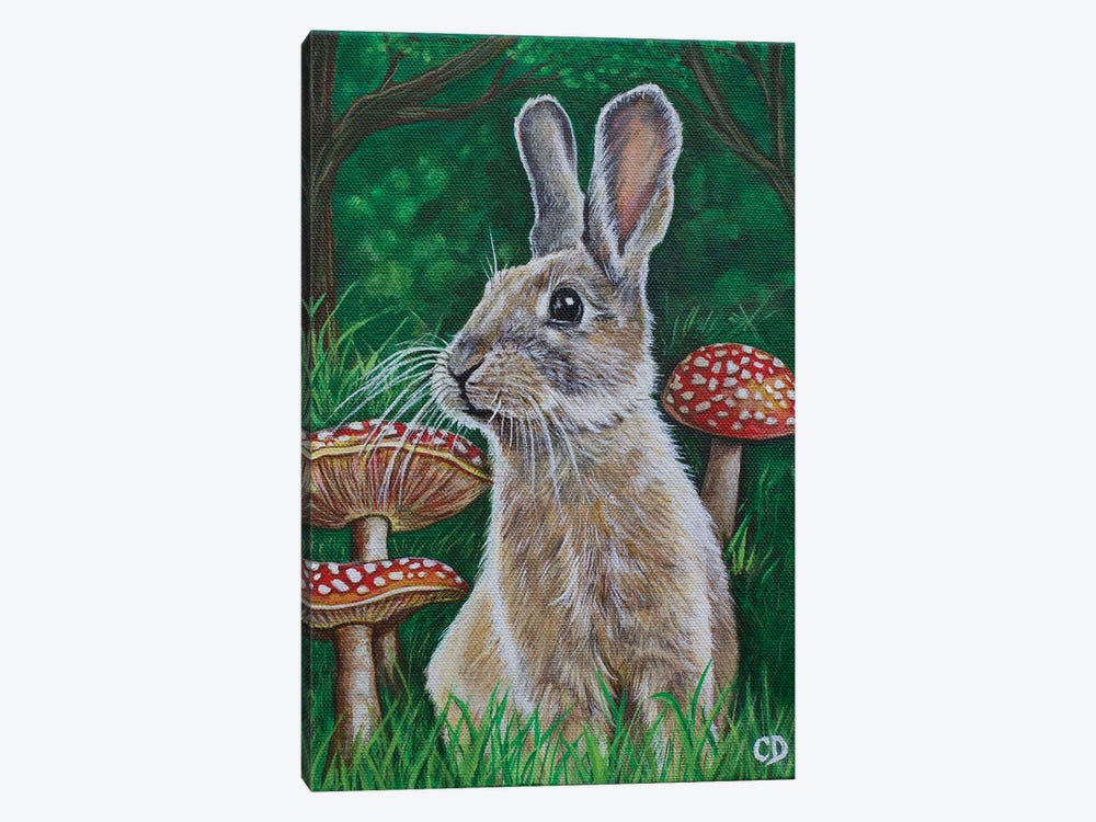 Bunny With Mushrooms by Cyndi Dodes 1-piece Canvas Artwork
