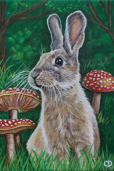 Mushrooms: Bunny With Mushrooms by Cyndi Dodes