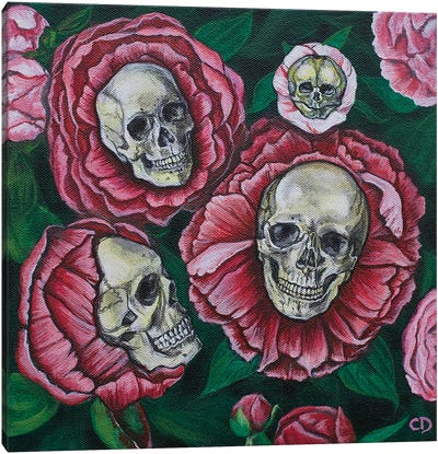 Peony Skulls Canvas Art Print - Cyndi Dodes