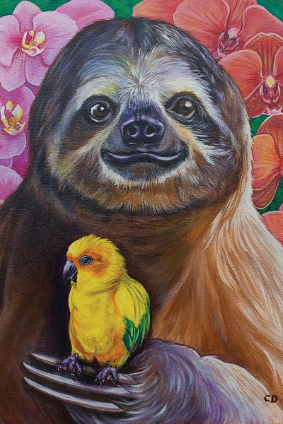 Orchids: Sid The Sloth by Cyndi Dodes