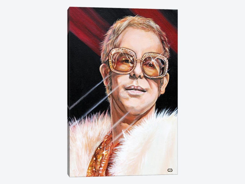 Elton John by Cyndi Dodes 1-piece Canvas Artwork