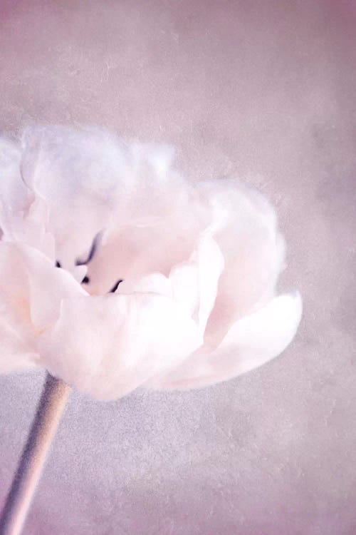 April by Claudia Drossert wall art