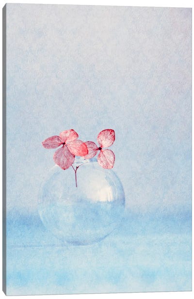 Small Things Canvas Art Print - Claudia Drossert