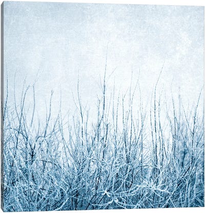 Winter Canvas Art Print - Claudia Drossert