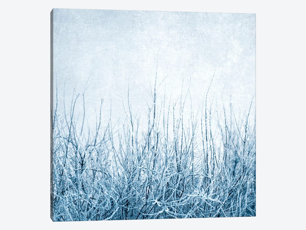 Winter by Claudia Drossert 1-piece Art Print