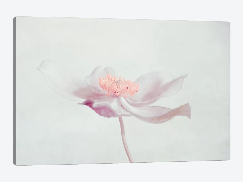 Fleur by Claudia Drossert 1-piece Canvas Artwork
