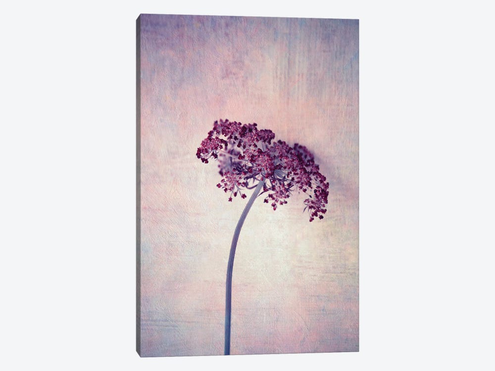 Lilac by Claudia Drossert 1-piece Canvas Art Print