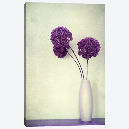 Charmant Canvas Print #CDR14} by Claudia Drossert Canvas Wall Art