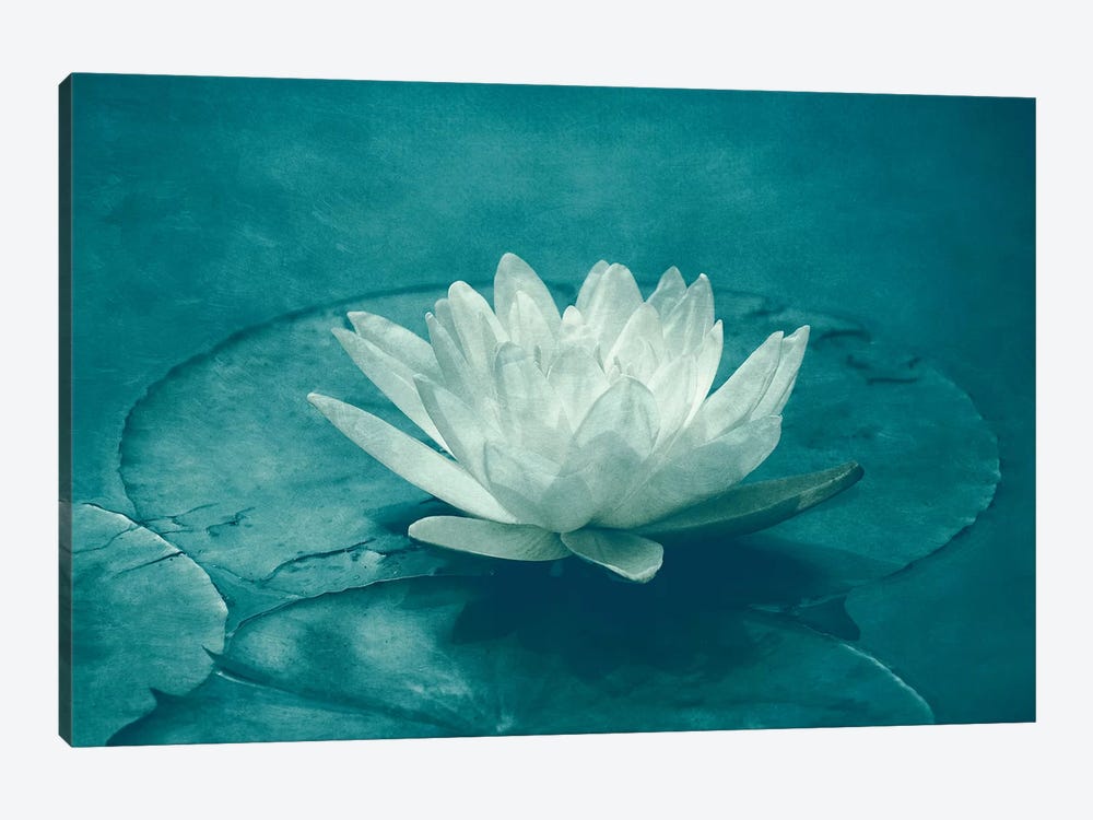 White Lotus by Claudia Drossert 1-piece Art Print