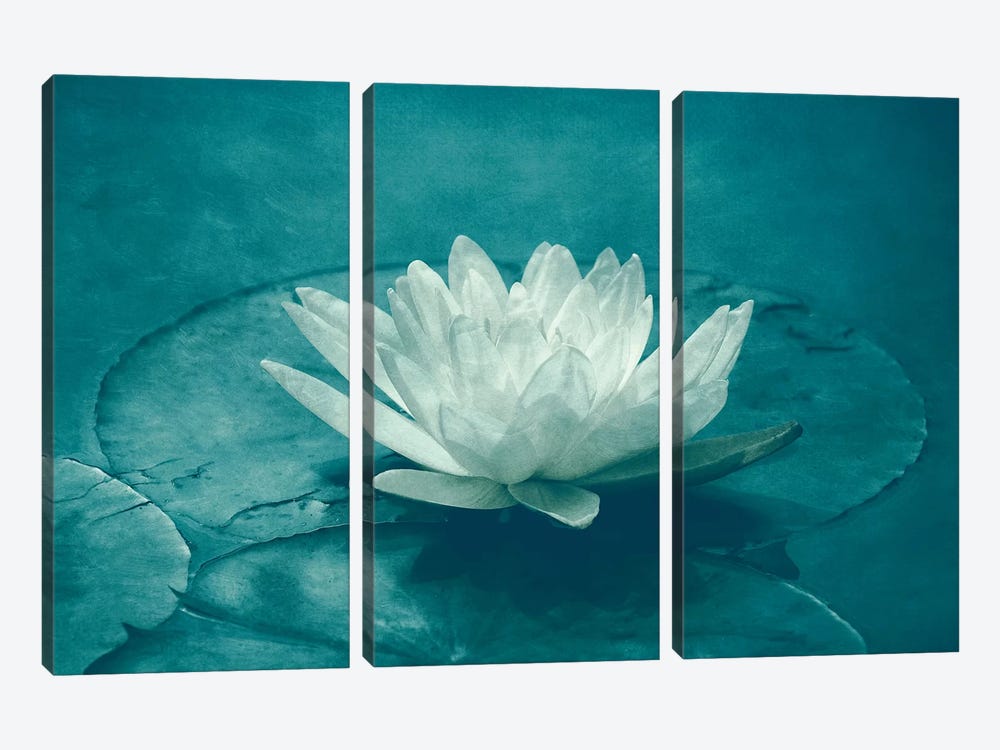 White Lotus by Claudia Drossert 3-piece Canvas Print