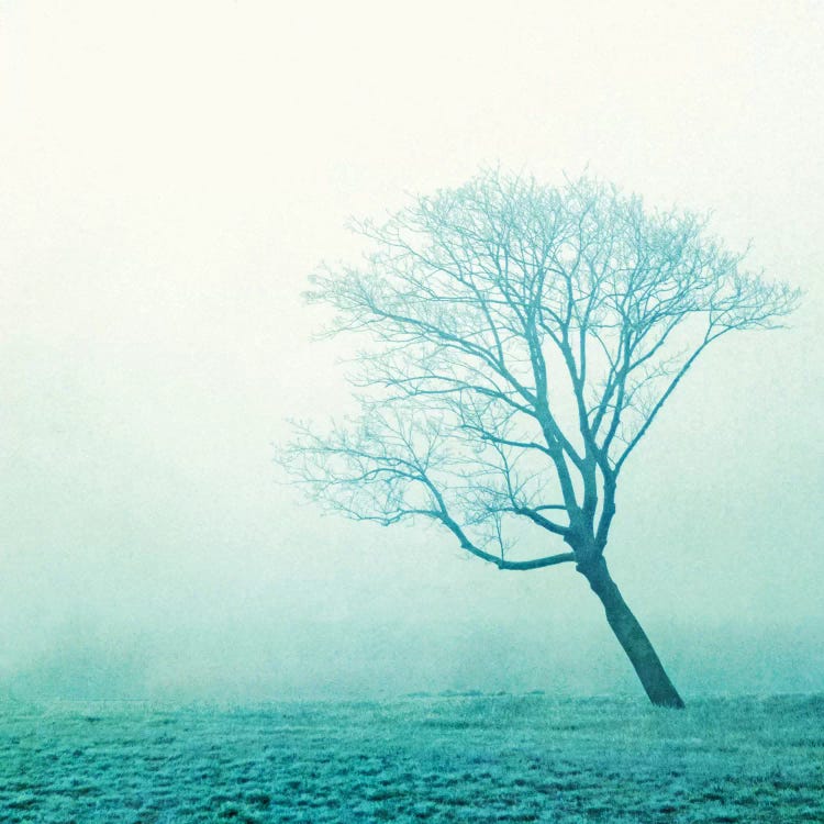 Nebbia by Claudia Drossert wall art