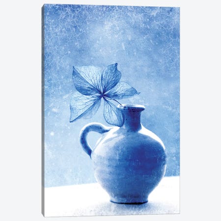 Blue Hydrangea Stilllife Canvas Print #CDR166} by Claudia Drossert Art Print