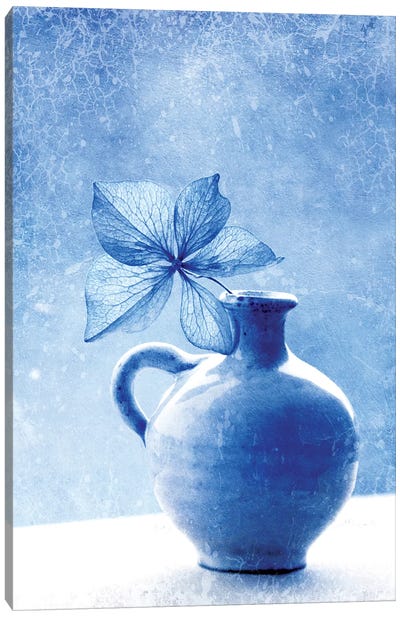 Blue Hydrangea Stilllife Canvas Art Print - Monochromatic Photography