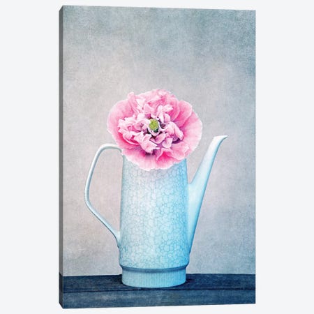 Vintage Flower Canvas Print #CDR170} by Claudia Drossert Canvas Art Print