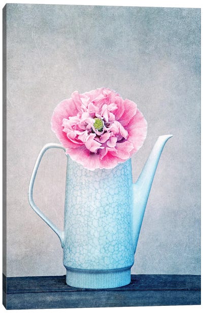 Vintage Flower Canvas Art Print - Claudia Drossert