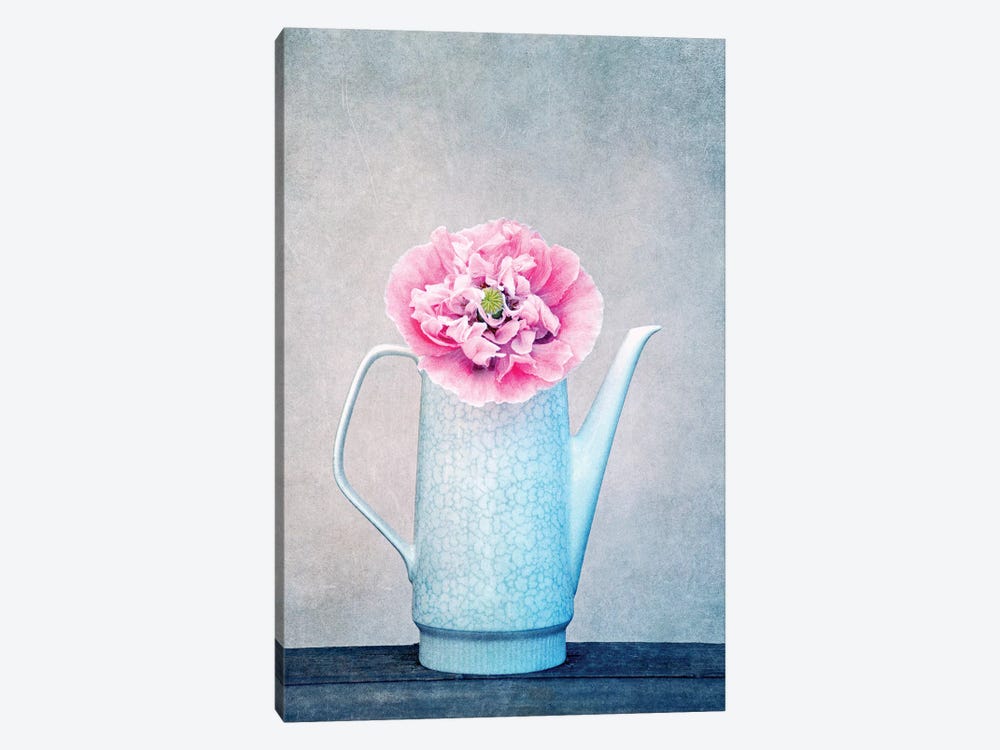 Vintage Flower by Claudia Drossert 1-piece Canvas Wall Art