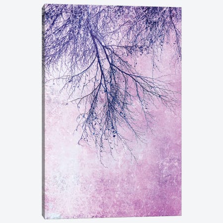 Branches Canvas Print #CDR171} by Claudia Drossert Canvas Print