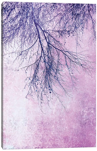 Branches Canvas Art Print - Claudia Drossert