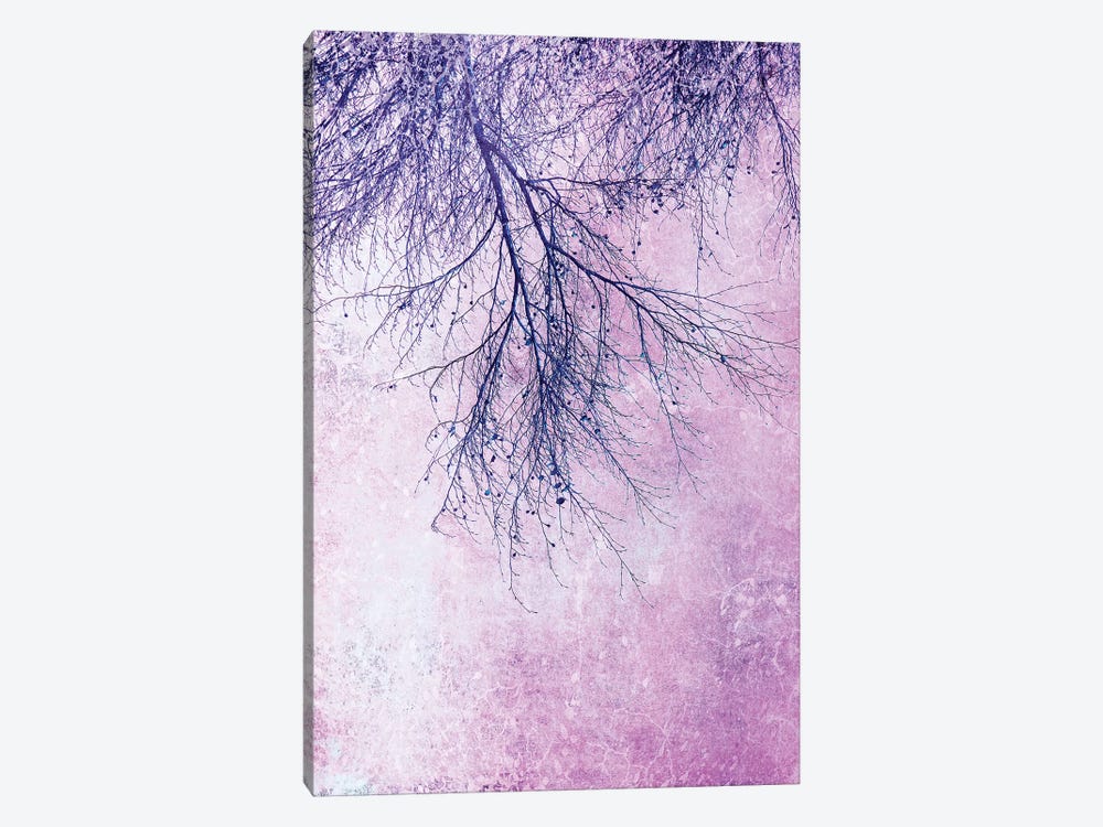 Branches by Claudia Drossert 1-piece Canvas Print