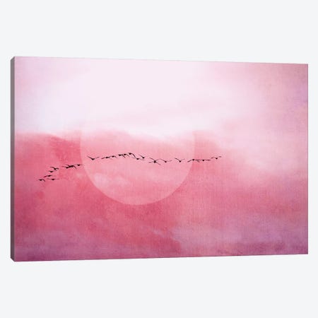 Journey Canvas Print #CDR174} by Claudia Drossert Canvas Art