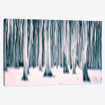 Forest Canvas Print #CDR176} by Claudia Drossert Canvas Artwork
