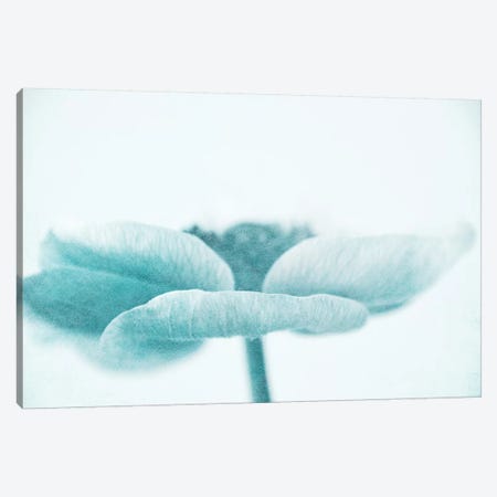 Soft Canvas Print #CDR182} by Claudia Drossert Canvas Artwork
