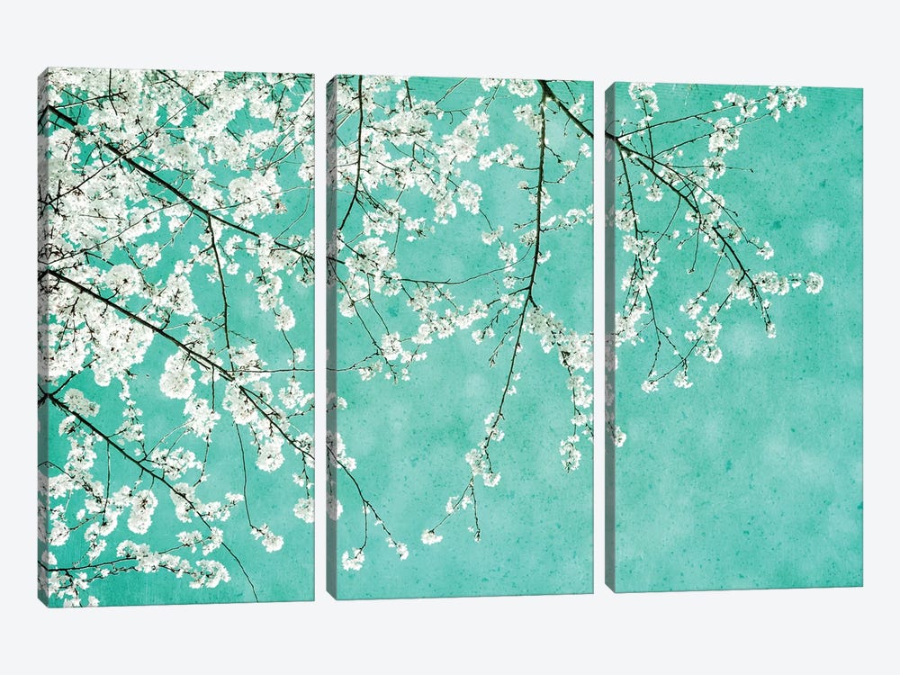 Cherryblossoms by Claudia Drossert 3-piece Canvas Print