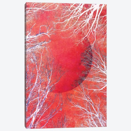 Red Moon Canvas Print #CDR193} by Claudia Drossert Canvas Print