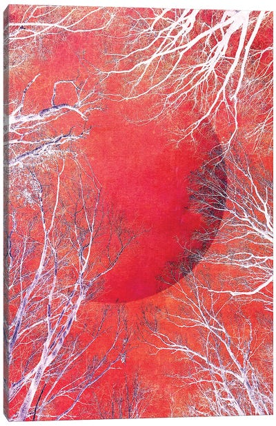 Red Moon Canvas Art Print - Claudia Drossert