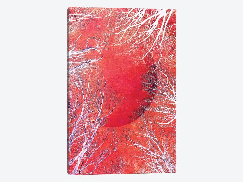 Red Moon by Claudia Drossert 1-piece Canvas Art Print