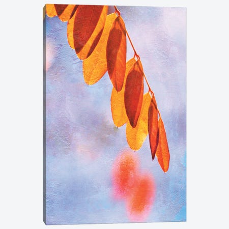 Autumn Light Canvas Print #CDR194} by Claudia Drossert Canvas Art