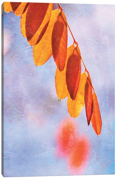 Autumn Light Canvas Art Print - Claudia Drossert